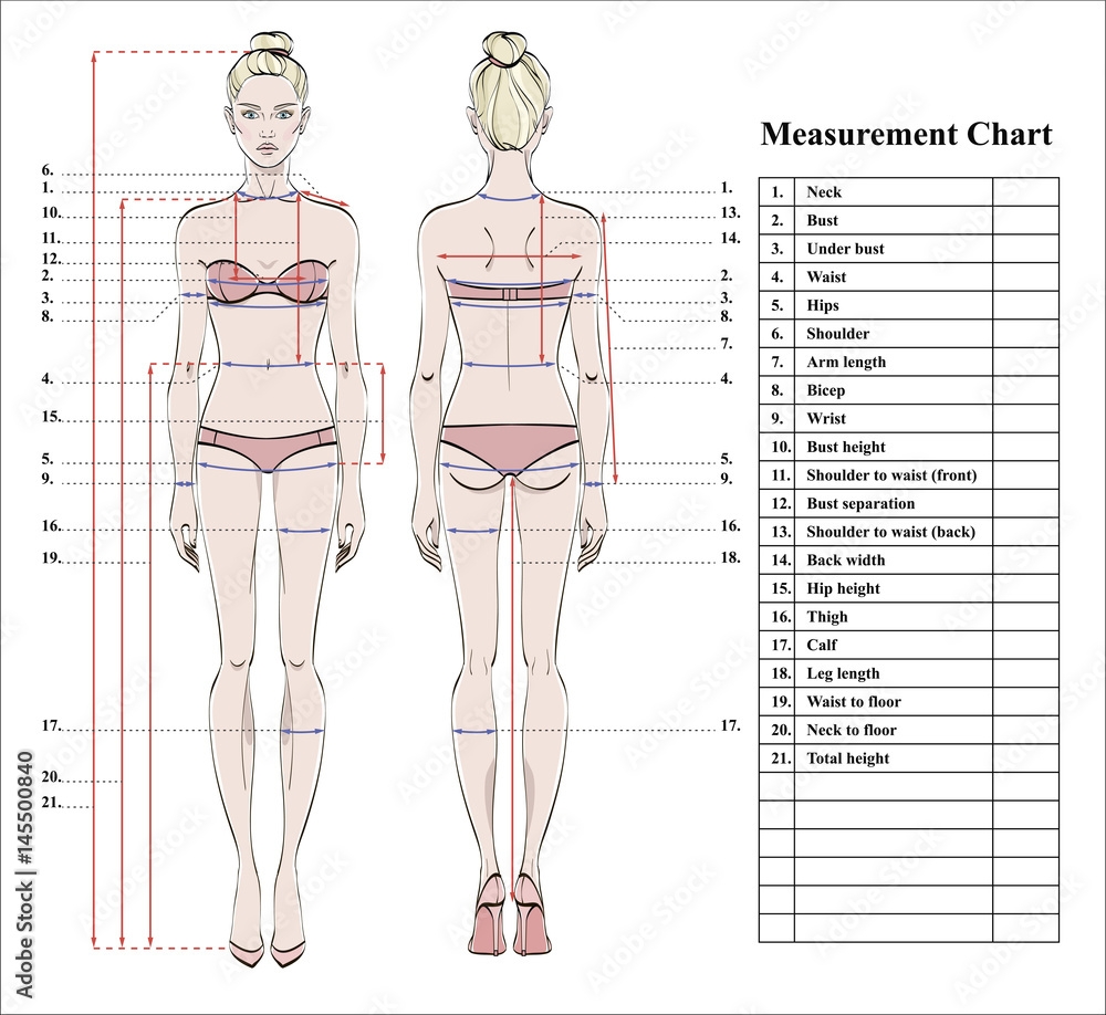 Woman Body Measurement Chart Scheme For Measurement Human Body For Sewing Clothes Female Figure Front And Back Views Template For Dieting Fitness Vector Stock Vector Adobe Stock