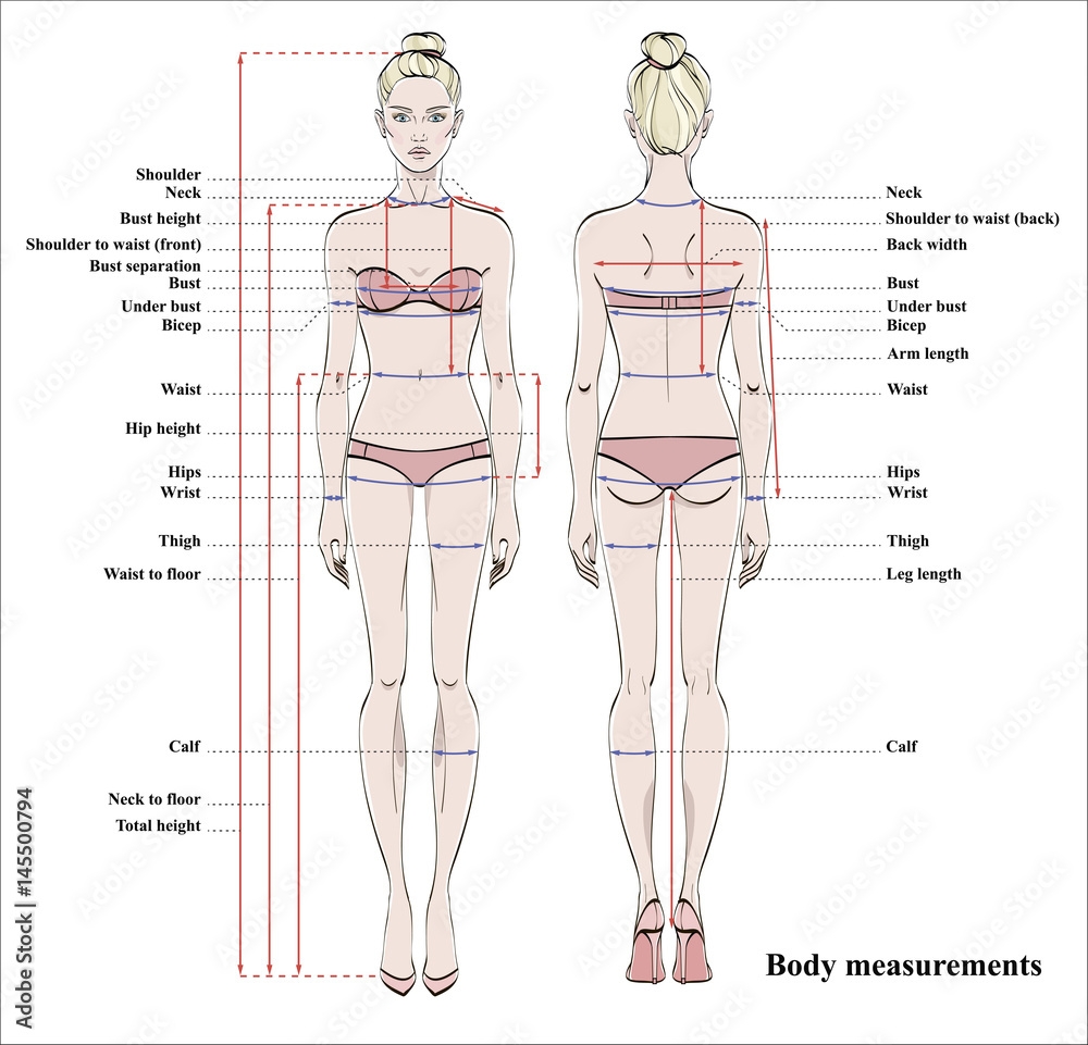 Woman Body Measurement Chart Scheme For Measurement Human Body For Sewing Clothes Female Figure Front And Back Views Vector Stock Vector Adobe Stock