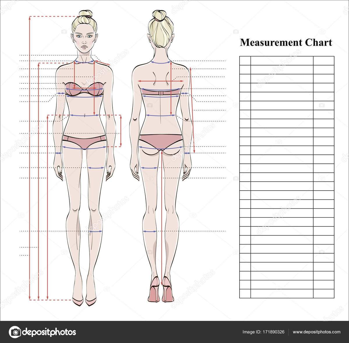 Woman Body Measurement Chart Scheme Measurement Human Body Sewing Clothes Stock Vector By Alushka 171890326