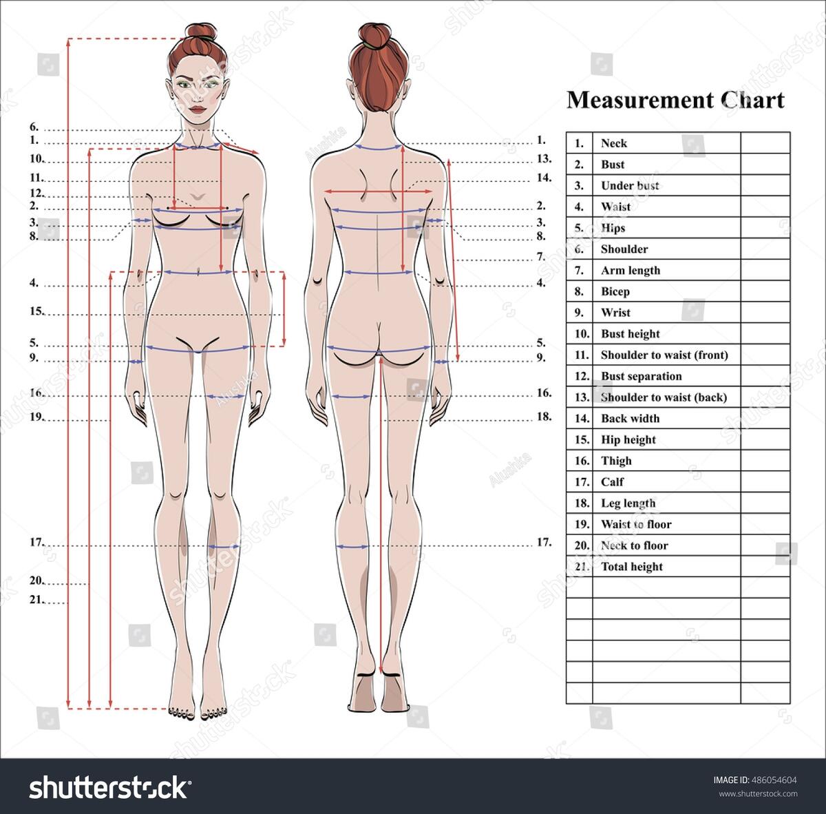 Woman Body Measurement Chart Scheme Measurement Stock Vector Royalty Free 486054604 Shutterstock Woman Body Measurement Chart Scheme Measurement Stock Vector Royalty Free 486054604 Shutterstock