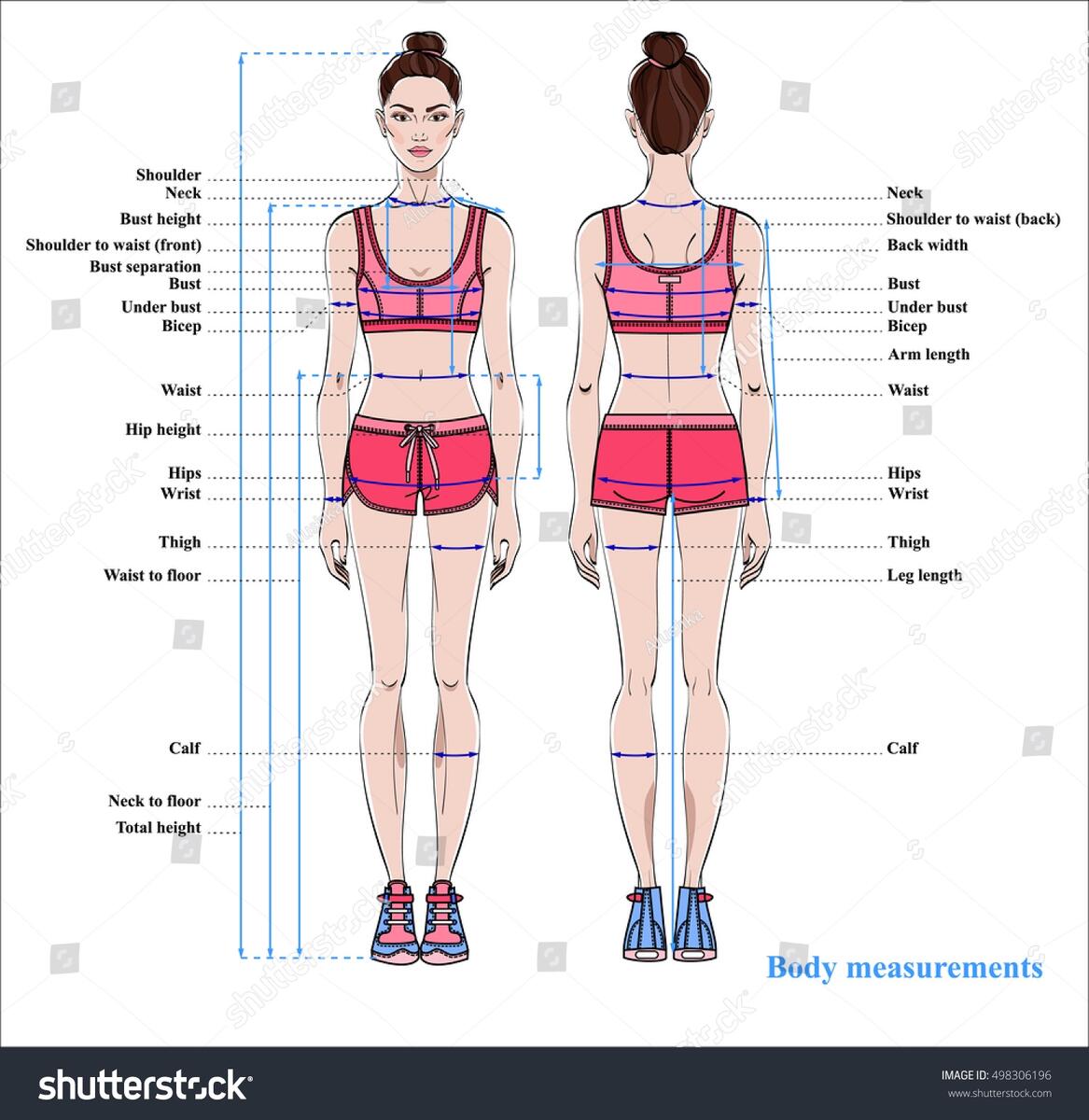 Woman Body Measurement Chart Scheme Measurement Stock Vector Royalty Free 498306196 Shutterstock Woman Body Measurement Chart Scheme Measurement Stock Vector Royalty Free 498306196 Shutterstock