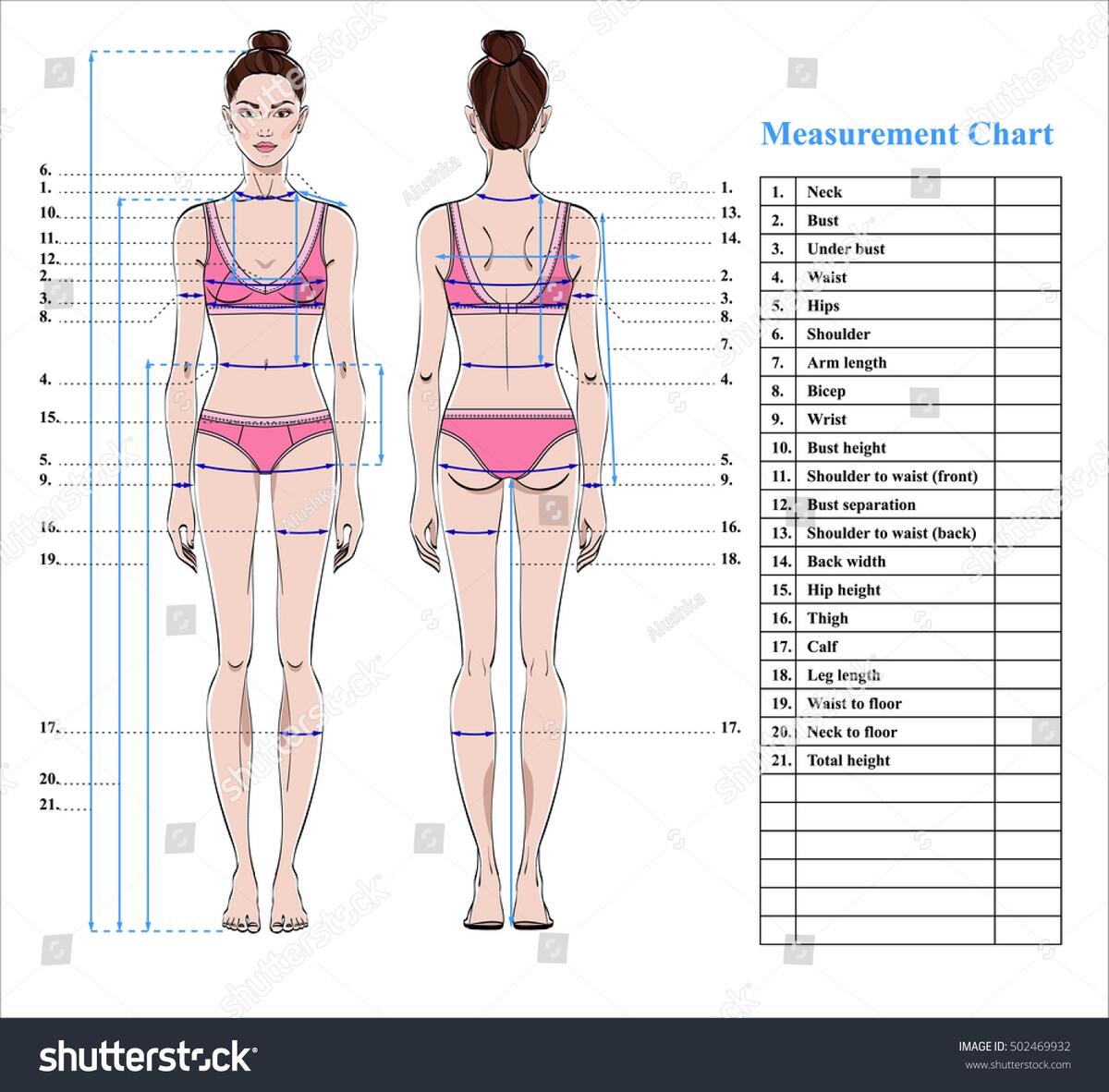 Woman Body Measurement Chart Scheme Measurement Stock Vector Royalty Free 502469932 Shutterstock Woman Body Measurement Chart Scheme Measurement Stock Vector Royalty Free 502469932 Shutterstock