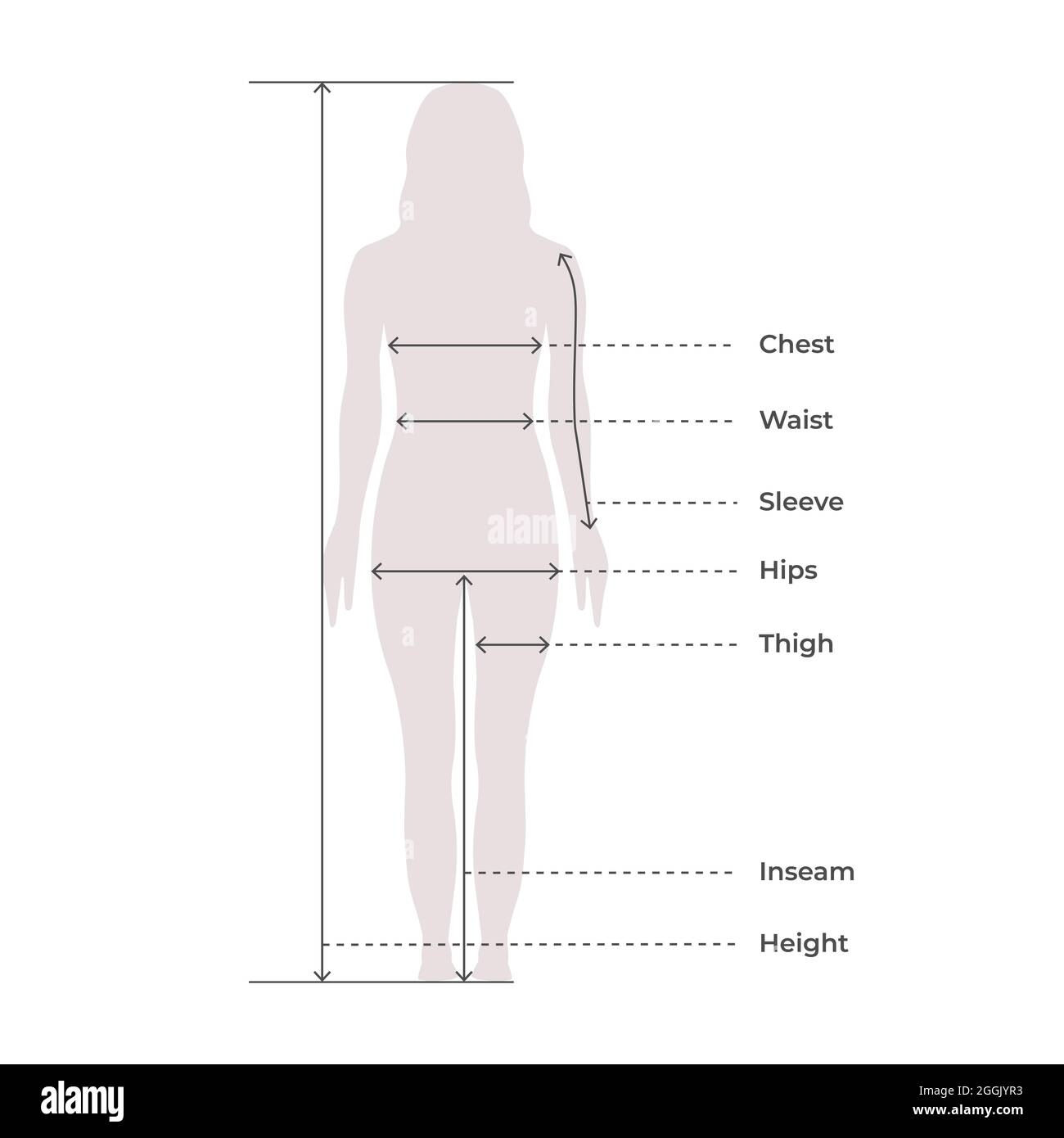Woman Female Body Measurement Proportions For Clothing Design And Sewing Chart For Fashion Vector Illustration Stock Vector Image Art Alamy