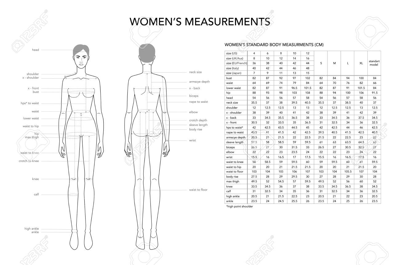 Womens Measurements Fashion Terminology Illustration For Lady Size Chart 9 Head Size Girl For Site And Online Shop Human Body Infographic Template With All Name Of All Parts For Clothes Royalty Free