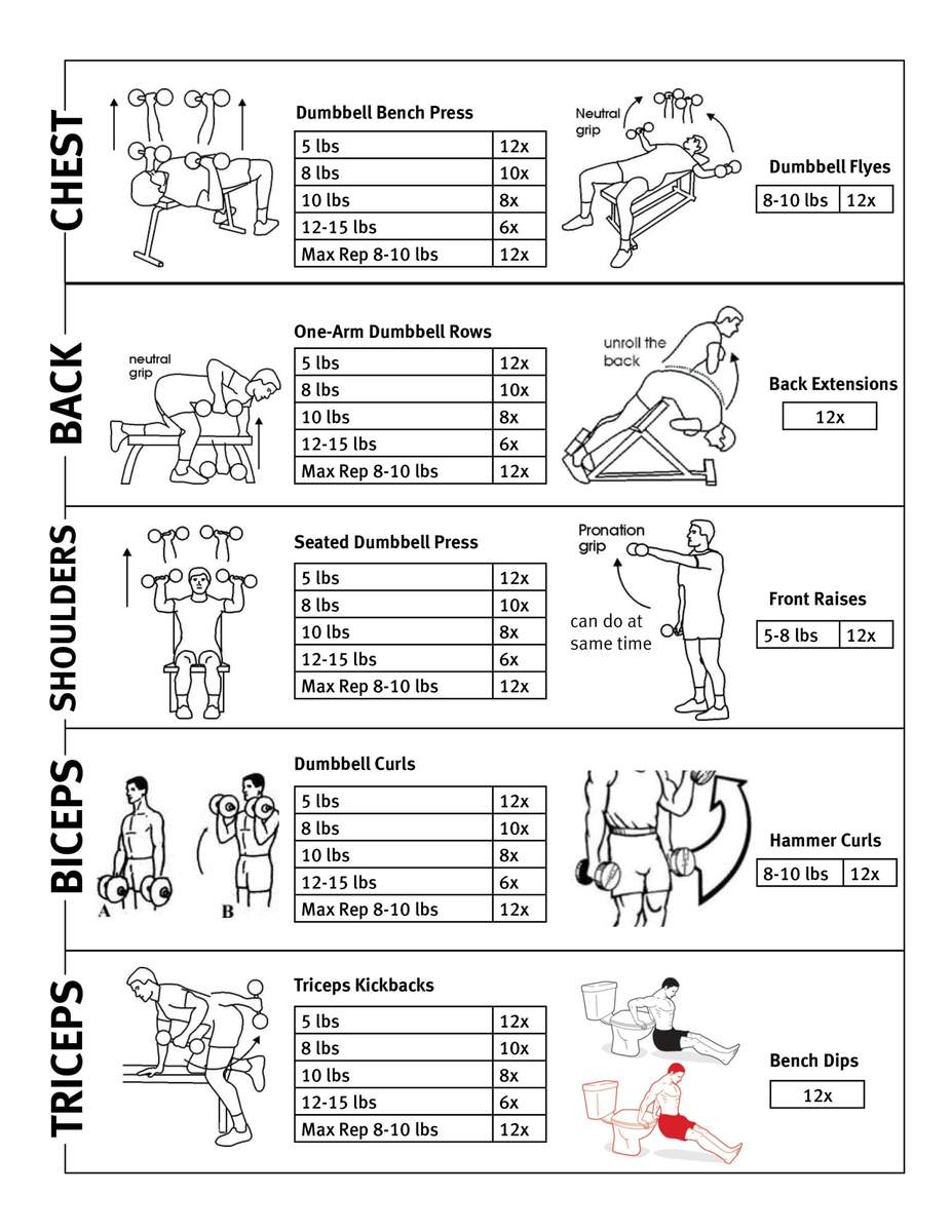 Workout Chart Bodyweight Forearm Workout Upper Body Bicep Tricep And Forearm Workout Tricep Exercises Upper
