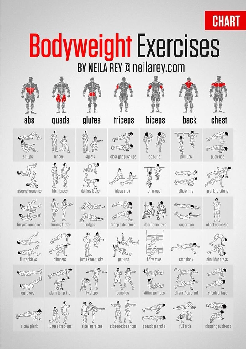 Workout Chart Muscle Groups To Workout Together Body Groups To Workout 2025