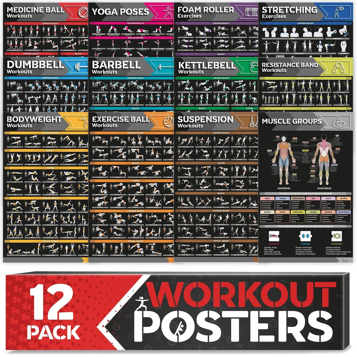 Workout Together Large Muscle Group Exercises 12 Pack Large Workout Poster Set Home Gym Exercise Charts