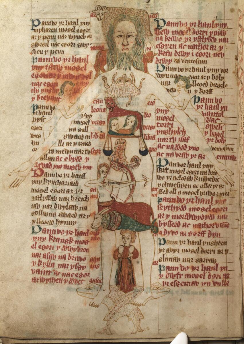 Zodiac Man Wikipedia